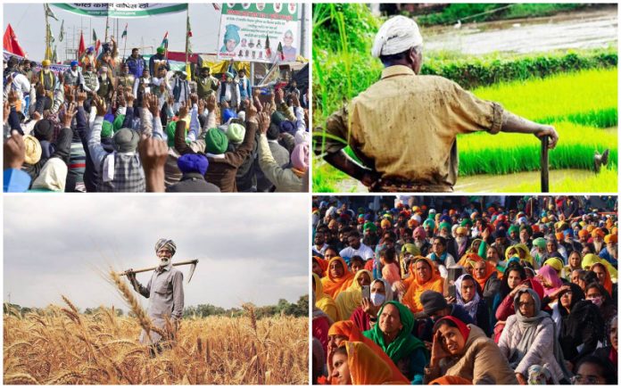 Farmers-collage