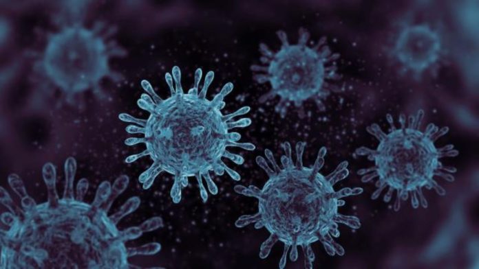 HMPV virus cases India
