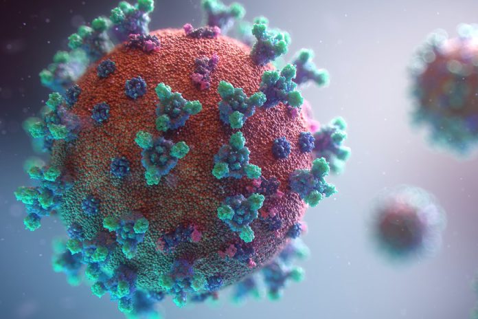 New coronavirus in China 2025
