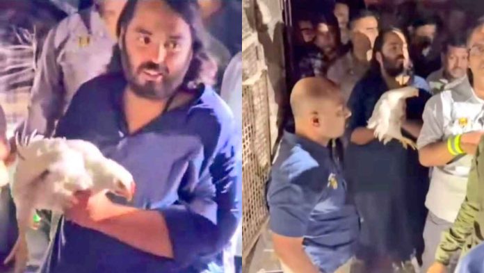 Anant Ambani padyatra to Dwarka