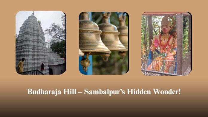 Budharaja Hill Sambalpur